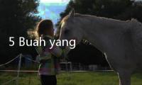 5 Buah yang Tidak Boleh Dimakan Oleh Penderita Batu Ginjal