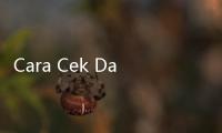 Cara Cek Dana PIP 2024 Secara Mandiri, Cair Hingga Rp1,8 Juta Per Tahun
