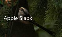 Apple Siapkan Kacamata AI untuk Gulingkan Ray