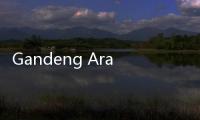Gandeng Arasoft, Pemkot Tangerang Selatan Genjot Transformasi Digital